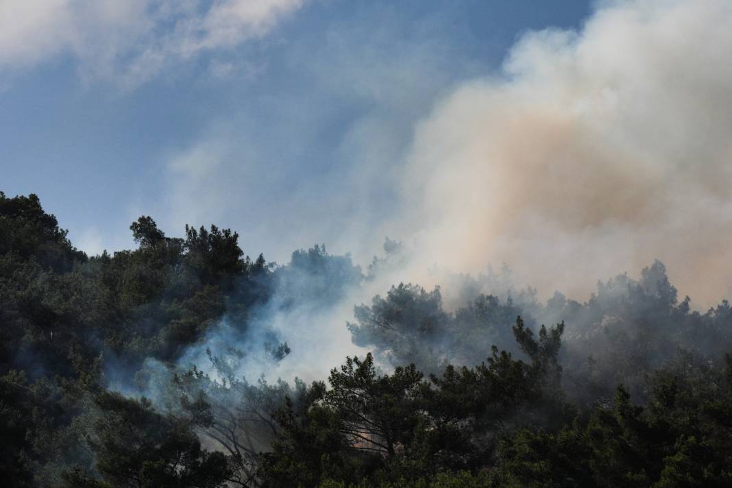 Bornova’daki orman yangını 23 saat sonra kontrol altına alındı 20